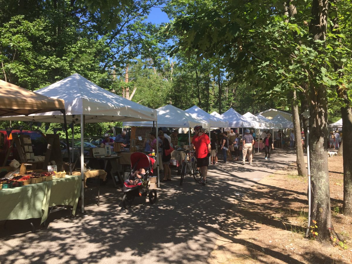 people shopping farmer's market